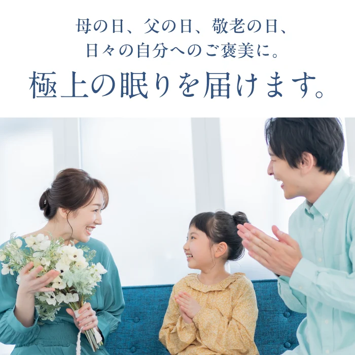 【14段階×20通り×大きめ低反発枕65×80cm】グランピロー ソフト/ハード - Image 18