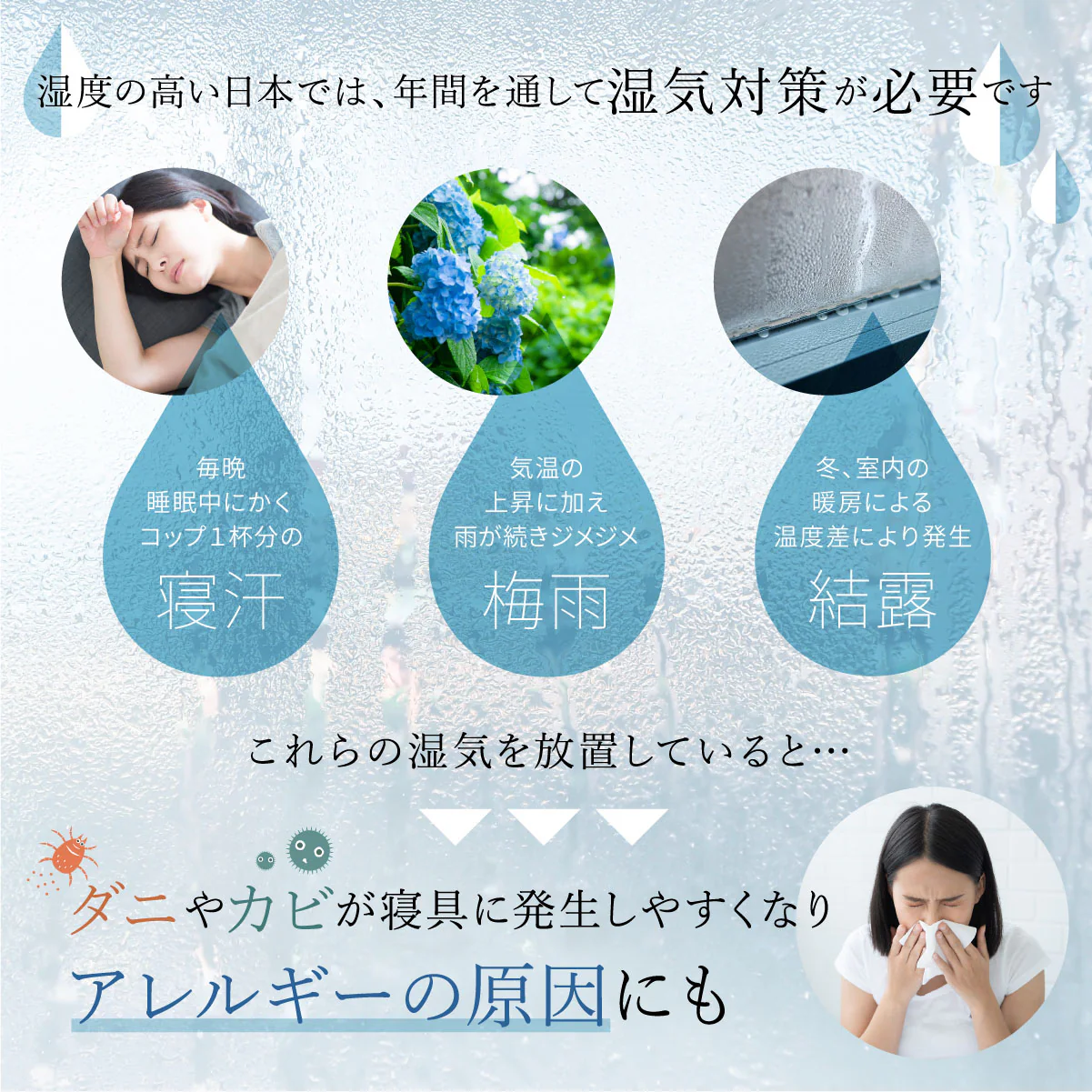 【敷くだけ簡単 湿気対策】プレミアム除湿シート - Image 3